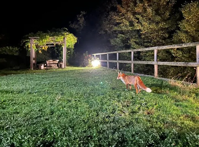 Oasi Della Volpe *
