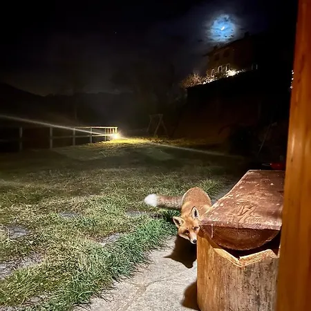 “oasi Della Volpe” *