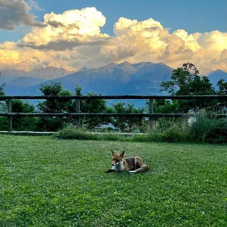 “oasi Della Volpe” Chalet
